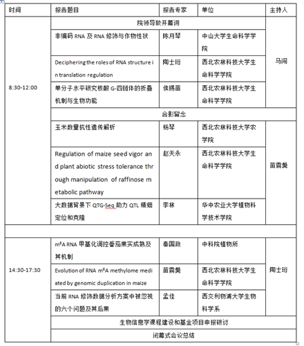 番摊