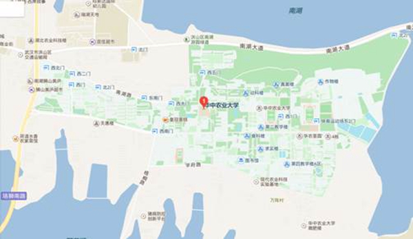 番摊