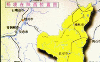 番摊